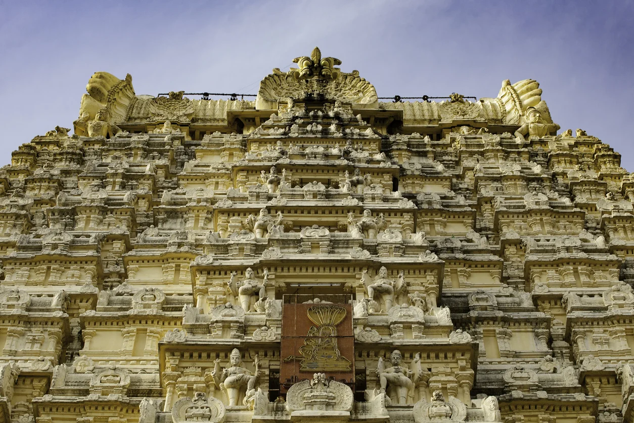 Kanchipuram Temple Interior Pillars - Ancient Dravidian Stone Mandapam Carvings